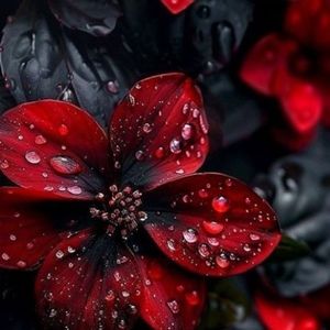 Meet your Posher, Triple